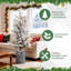 Sapin de Noël de 2 pi avec flocage simple et illuminé, créant une ambiance de vacances immersive sans effort-1733800662