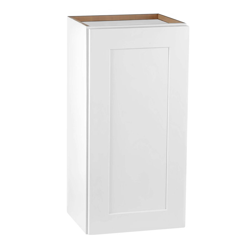 Armoire murale à une porte 1 porte et 2 tablettes pour le rangement de la cuisine, de la salle de bain, de la buanderie, tablettes réglables prêtes à assembler (l 21 po x P 12 po x H 30 po)