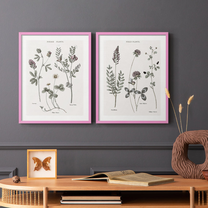 Reproduction encadrée multi-botanique I-Premium - prête à être accrochée - aucun clou requis - aucun clou requis, Rose