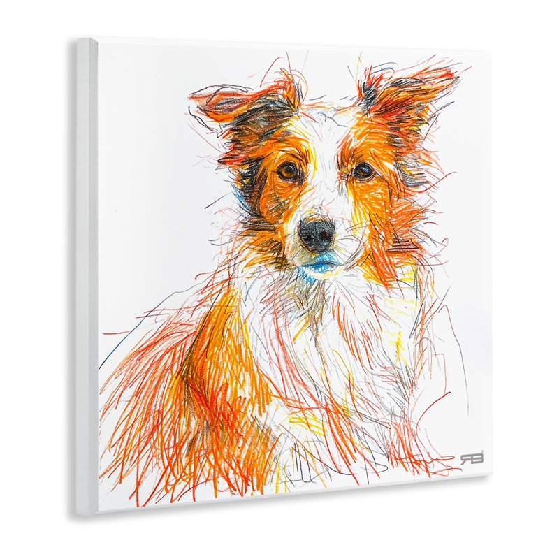 "Collie", croquis de plaques murales par Roozbeh Bahramali