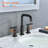 Widespread 2-handle Bathroom Faucet
