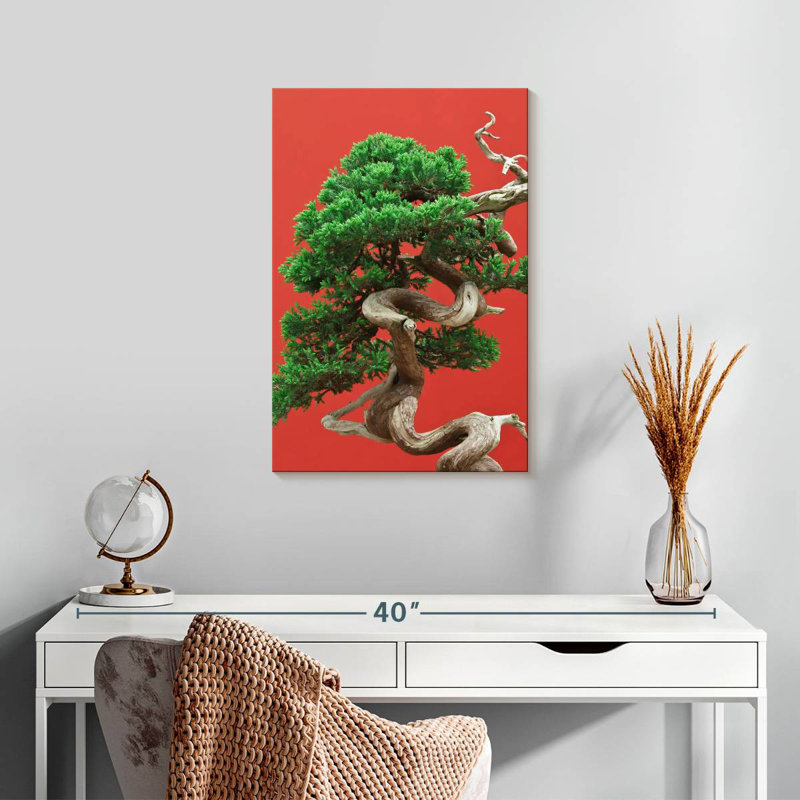 Harnek Juniper Bonsai Tree, 24" H x 16" W