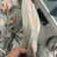 Photos des clients 4 de 4