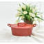 Casserole Omniware-12829405-12829404