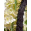30" Artificial White Hydrangea Wreath