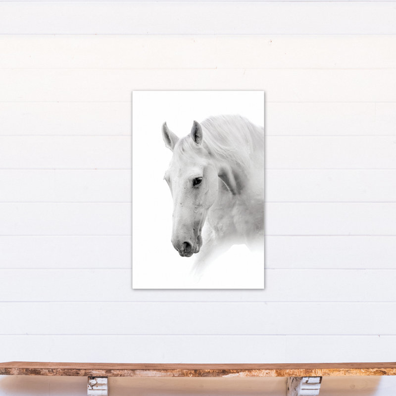 «Horse», reproduction de photo sur toile