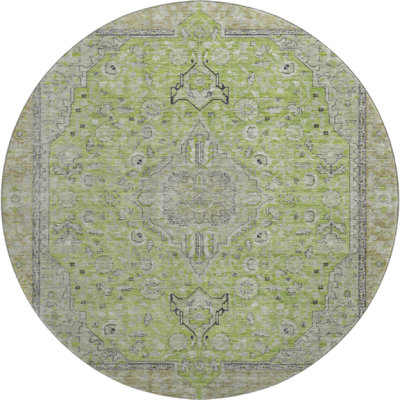 Premium Machine Washable Baford AMF1651 Global Rug