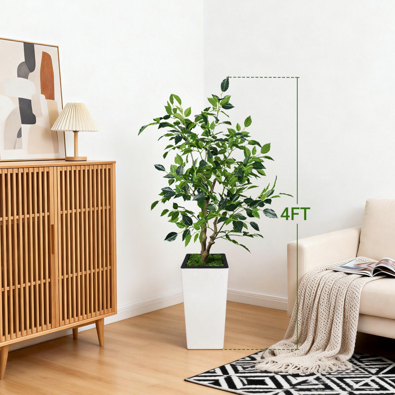 Ficus benjamin artificiel 4 pi Evergreen, 48 po x 9 po