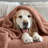 Vellux Plush Texture Blanket-112606445-112804201