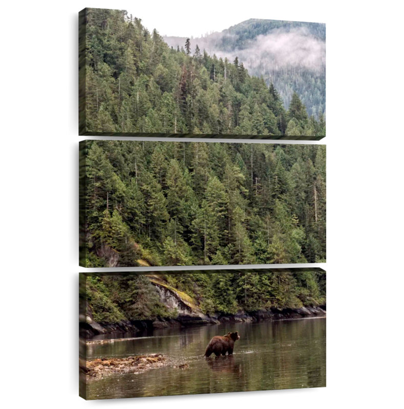 Alvord Great Bear Rainforest Grizzly, H 32 po x l 20 po