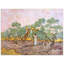 Vincent Van Gogh - Wrapped Canvas Painting-21213022