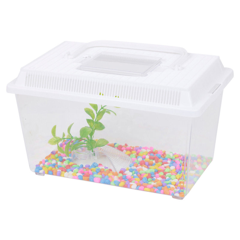 Plastic Aquarium Kit, Clear/White