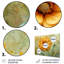 Jaune jaune vert fleuri souci - art mural souci-479067316-479067317
