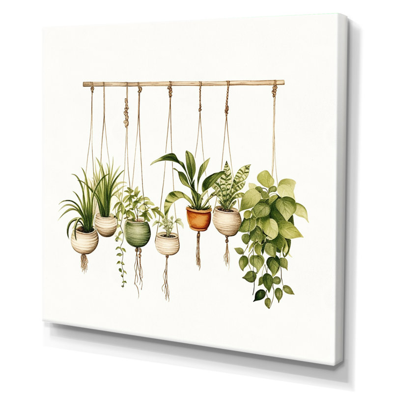 Plantes suspendues aquarelle botanique bohème, Toile tendue, H 36 po x l 36 po x P 1,5 po