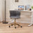 Velvet Home Office Chair-1673714815