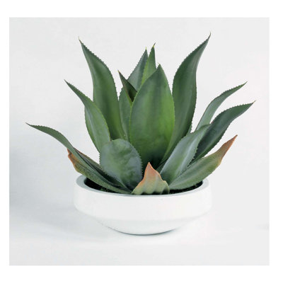 Faux Agave in White Concrete Bowl