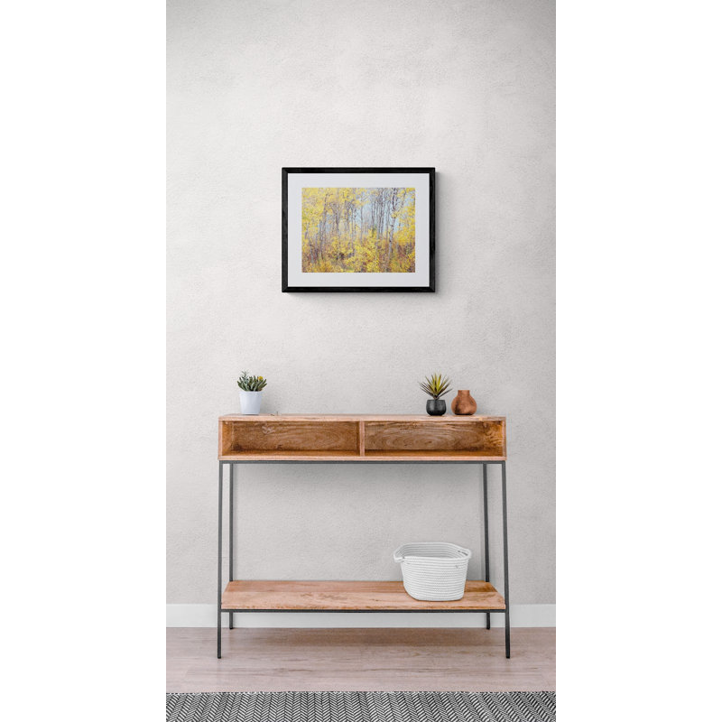 Swan Valley Autumn Portrait #4 Photographic Print, 30" H x 39" W, Black Framed Paper, White