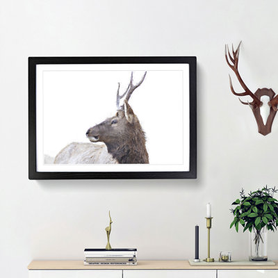 Young Elk - Picture Frame Painting Print
