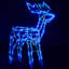 LED Indoor / Outdoor String Lights-1766914462