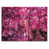 Wrapped Canvas