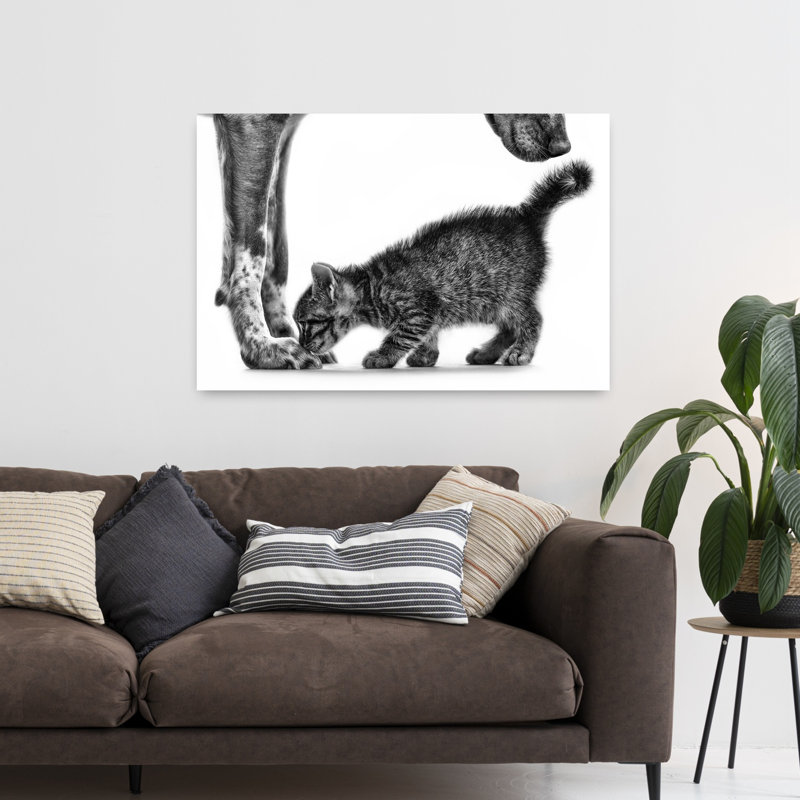 Chat doux et chaton, affiche murale contemporaine pour chat et chien, H 32 po x l 48 po