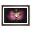 Clownfish & Sea Anemone Paint Splash - Picture Frame Graphic Art-56866320-56866321