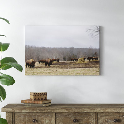 Farm Study VI by Adam Mead - Print on Canvas