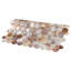 Conchella 11-1/2" x 11-5/8" Natural Shell Mosaic Wall Tile