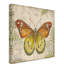 «Butterfly Daydream 3» de Deagen, impression sur toile tendue-30356751