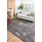 Fiorillo Oriental Indoor Rug-1738859400
