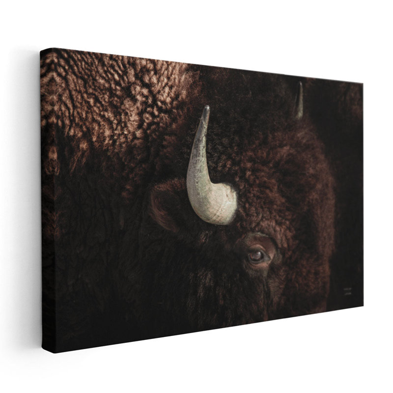 Bison - Canvas Print Wall Art, 16" H x 24" W