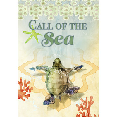 Bébé tortue de mer par Evelia