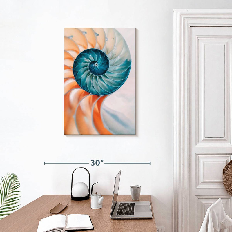 Brampt Translucent Nautilus Shell, 30" H x 20" W