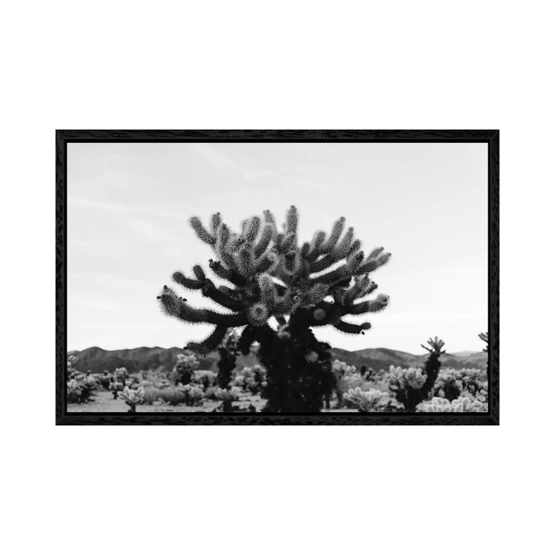 Cholla Cactus Garden XI by Bethany Young - Print on Canvas, 45.72cm H x 66.04cm W x 3.81cm D, Black Framed
