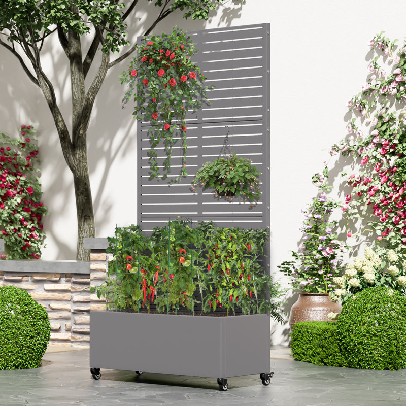 Metal Planter Box privacy screen Garden Bed with Trellis and Wheels, Gray, 72" H x 35" W x 16" D