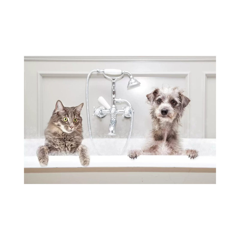 Dog And Cat In Bathtub Together by Susan Schmitz - Print on Canvas, 66.04 cm H x 45.72 cm W x 1.91 cm D, Wrapped Canvas