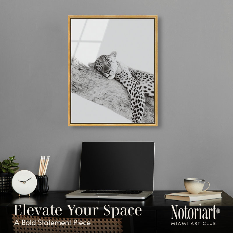 «Sleeping Leopard BW», art mural encadré doré par Notoriart, cadre doré, 20 x 24, 25"H x 21"W, Gold Frame
