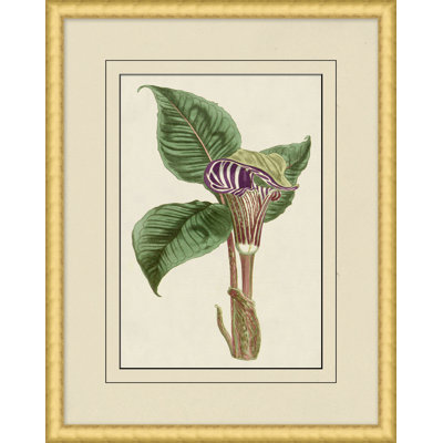 Fresh Flowers 7 Print
