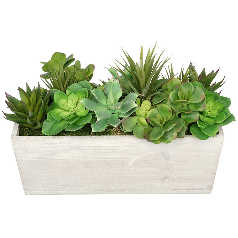 Plante grasse artificielle en pot, Crème