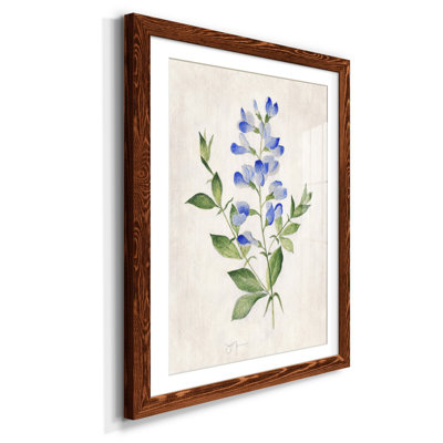Blue Botanical II - cadre photo, reproduction d'art