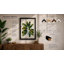 Variegated Specimen Botanical - Framed Print-1067819271-1067819276