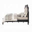 Lit Chelmsford CK-891449892