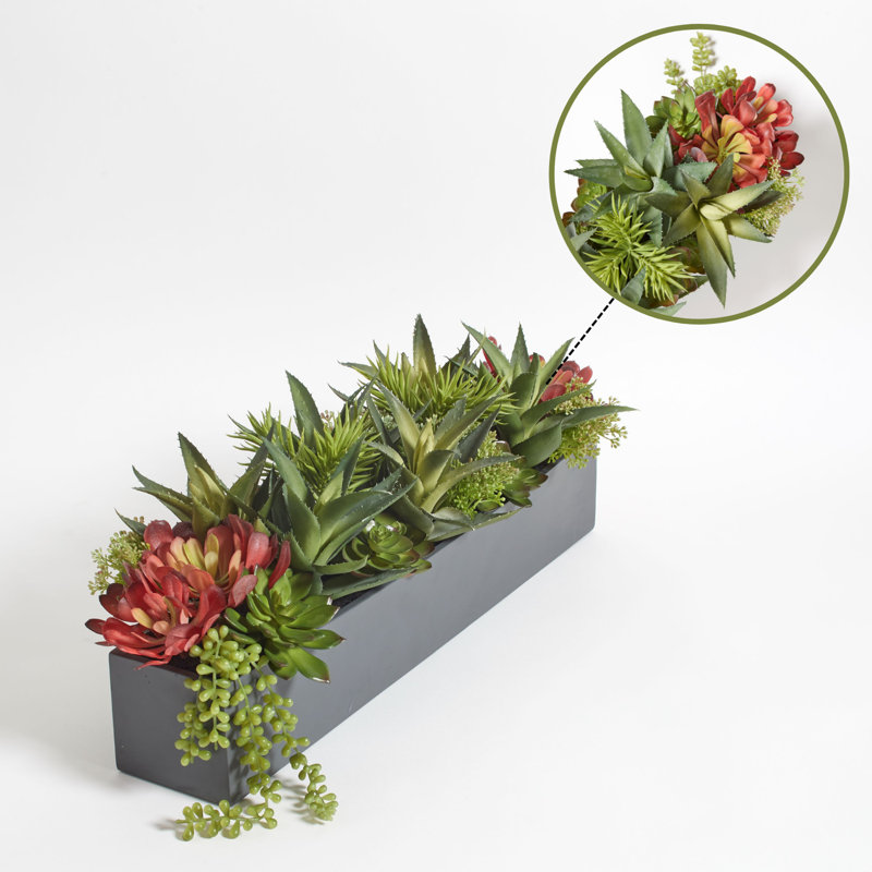 PLANT 27IN SUCCULENT ARRANGEMENT, GRAY POT, Gray/Black