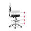 Braeswood Backed Adjustable Height Ergonomic Industrial Stool