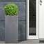 Square Plant Pot-36035301-35994145