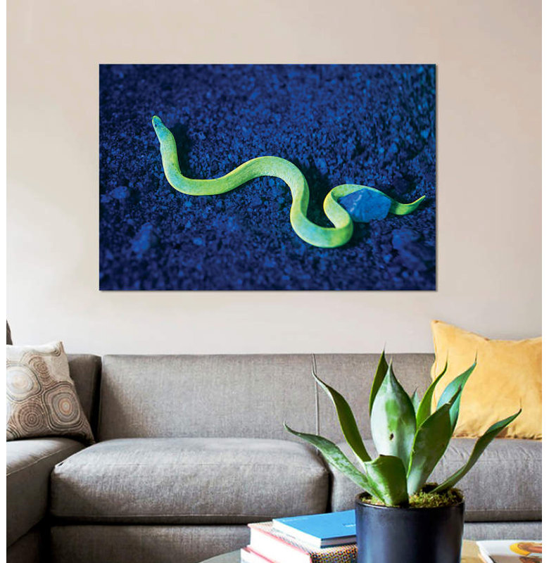 «Eel with Fluorescence Light and Filtres», impression sur toile, H 26 po x l 40 po x P 1,5 po, Toile tendue, Pas de tapis