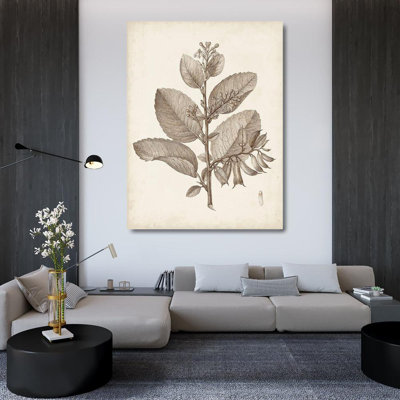 "Antique sépia botanicals V"