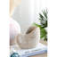 Boîte à fleurs texturée beige 8,5 po x 5,5 po x 6,3 po avec coquille de sable, convient à la plantation de tulipes avec apparence