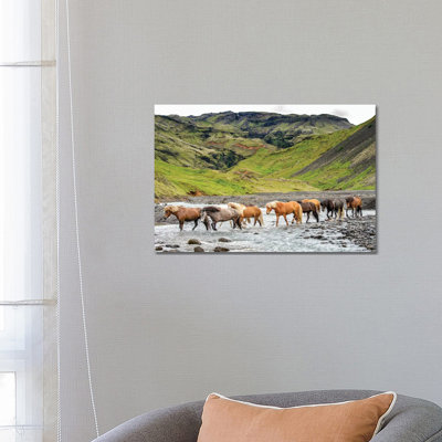 Collection Of Horses II by PHBurchett - Wrapped Canvas Print