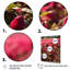 Fuchsia abstraction rose sur toile